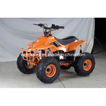 7 pouces Big Wheel 110cc ATV Quads (ET-ATV-010)